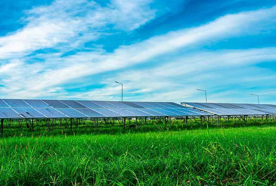 Energia Solar no Agronegócio